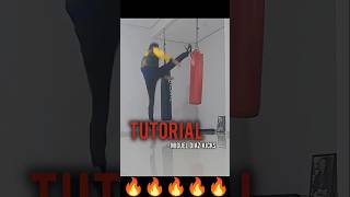 Miguel Diaz kicks tutorial #martialarts