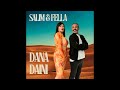 Salim Fella Dana Daini