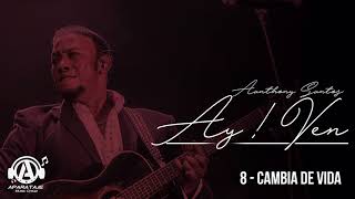 Video thumbnail of "Anthony Santos - Cambia de vida ( Audio oficial )"
