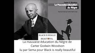 La mauvaise éducation du Nègre, chapitre 2 : comment nous avons raté le coche
