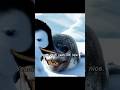 Penguin mocks seal#foryou #shortvideo #film #movie #fpy #tvshow