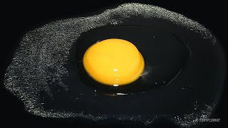 Egg TimeLapse