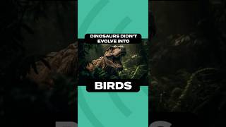 Dinosaurs DIDNT Evolve into Birds!