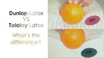Dunlop Latex vs Talalay Latex: What