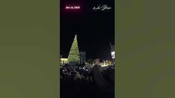 Massive Christmas Tree Lights Up Yerevan 🎄 ARMENIA 🎄 023
