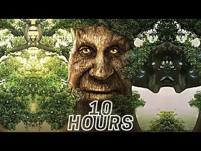 Wise Mystical Tree Face Old Mythical Oak Tree Funny Meme