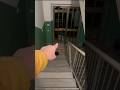 C’È IL MOSTRO DI 99 NOTTI CHE STA PER SVENIRE SULLE SCALE! #shorts #fortnite #roblox #bellafaccia