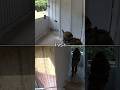 New CQB Tricks? #airsoft #military #shorts