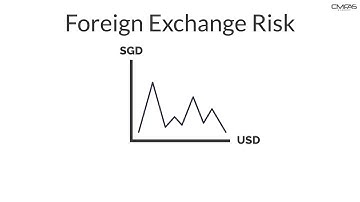 Foreign Exchange Risk by CMFAS Academy (CMFAS.com.sg)