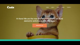 Cuda Single Page Portfolio Template| only html | css | with source code | ABC Designer