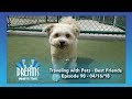 Best Friends Pet Care | 04/16/18