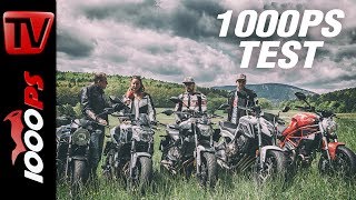 1000PS Test - Nakedbikes im Vergleich - CB650 - SV650 - Z650 - Monster - MT07