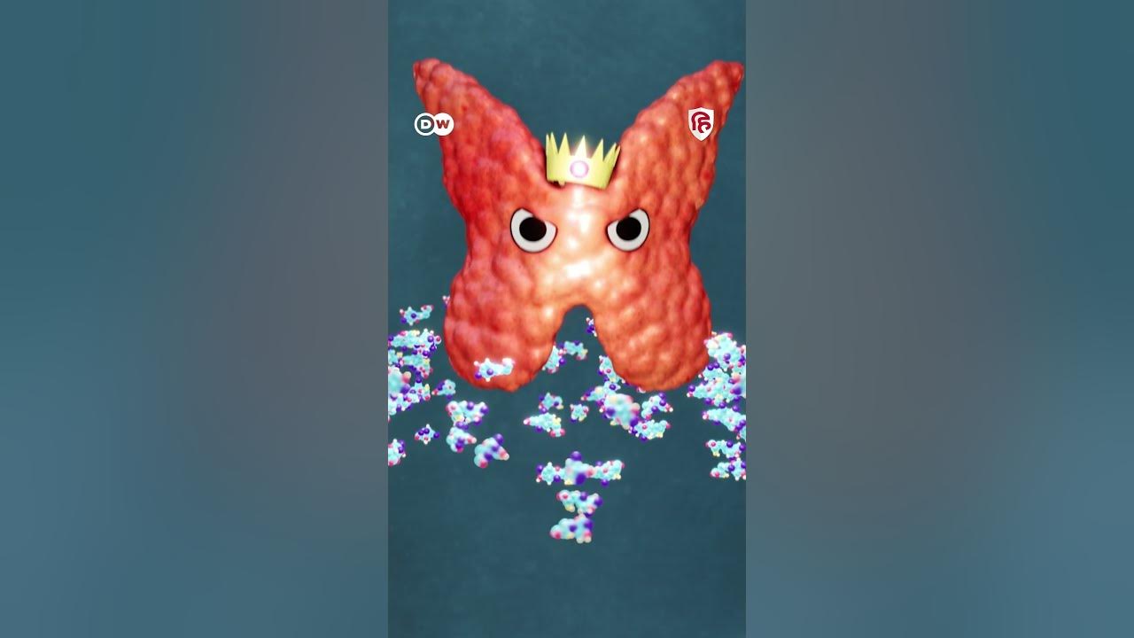 Thyroid gland autonomy and physiology 