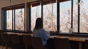 Spring in Kyoto 🌸| Cherry blossom in Gion Shirakawa, Okazaki Canal, Philosopher's Path, Cafe.