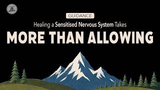 3 Step Approach | The Missing Steps Between Allowing and Nervous System Healing | The MAD Technique