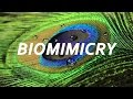 BIOMIMICRY : An Introduction with Janine Benyus