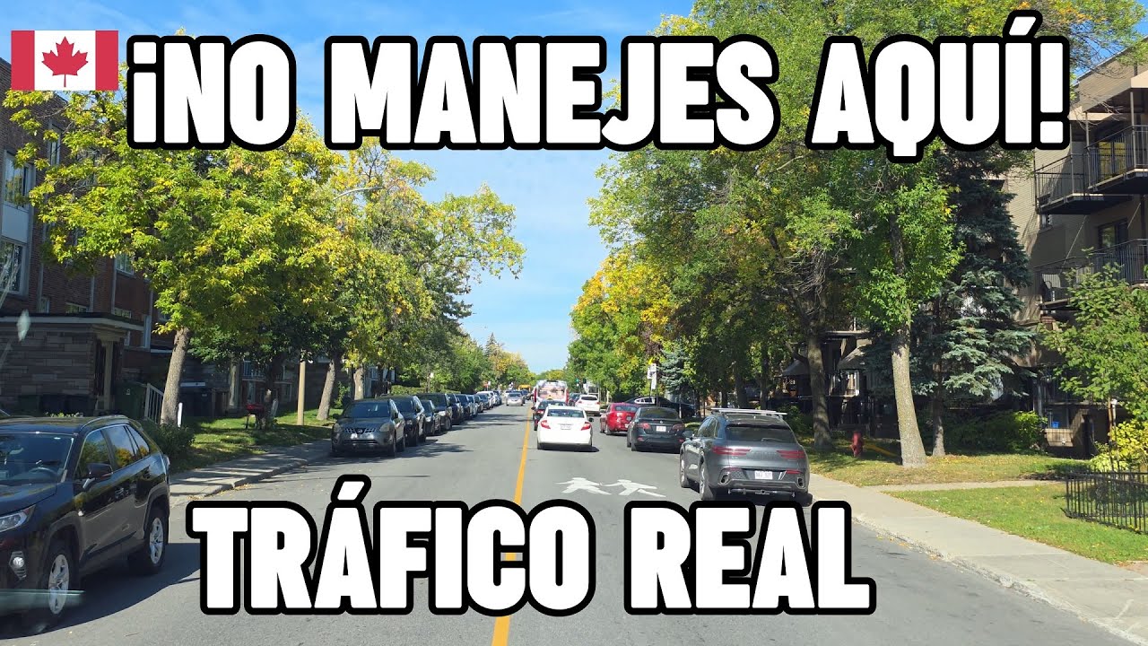 Lo que NADIE te dice de conducir en Montreal