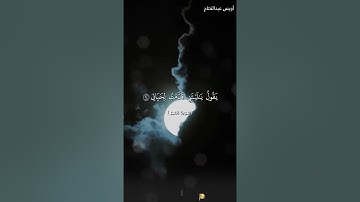 تلاوه تفوق الوصف والجمال  من سورة الفجر بصوت فضيلة الشيخ : اويس عبدالفتاح 💖