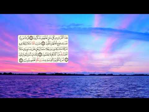 461  سعد الغامدي سورة الزمر      39