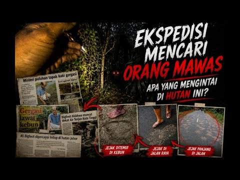 Menantang Orang Mawas Di Sarangnya