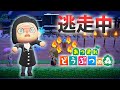 あつ森 逃走中を森でやってみた 鬼滅の刃編 Inわこみ島 実況 あつまれどうぶつの森 あつ森 逃走中を森でやってみた 鬼滅の刃編 Inわこみ島 実況 あつまれどうぶつの森