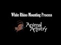 Animal artistry  crocodile and nyala mounting process