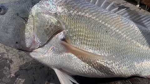 THỬ THÁCH 24h Sống Trên Sông Nước Miền Tây | Cù Lao Dung Vlogs