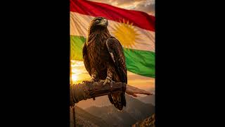 Em Hene Ii Ênkurdî Ürtçe Ürtçemüzik