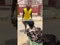 Now 🤝😂😭 #funny
