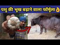 गाय/भैंस की भूख बढाने का No.1👌फॉर्मूला|Pashu ki bhook|How to increase hunger of cow/buffalo animals.