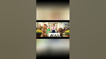 Capybara cùng chị giúp bà tắm cho con Agarrini La Palini và cái kết #capybara