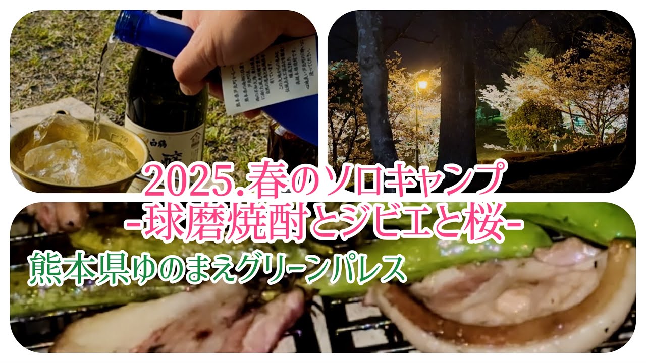 @2025.春のソロキャンプ-球磨焼酎とジビエと桜-#ゆのまえグリーンパレス#花見キャンプ
