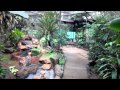 Umgeni river bird park5