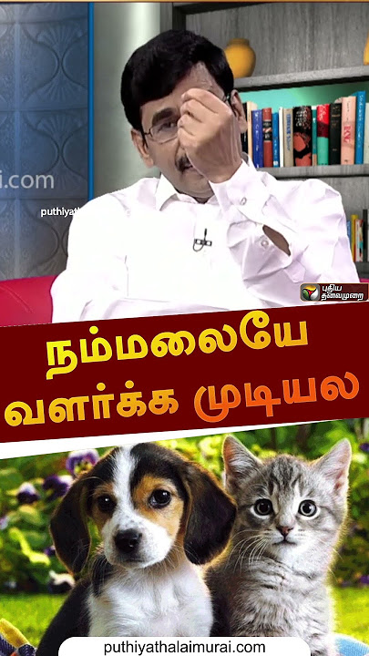 'நம்மளையே வளர்க்க முடியல' | #shorts | #iraianbu | #cat