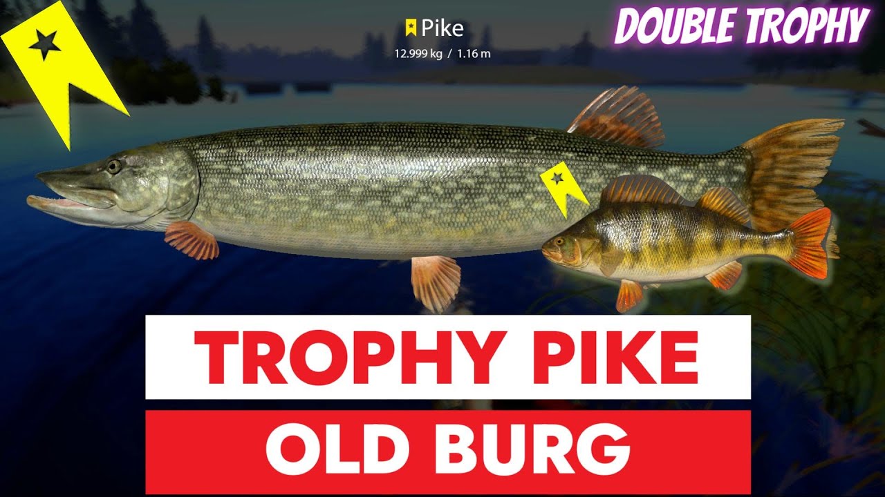 RUSSIAN FISHING 4 - RF4 - TROPHY PIKE - OLD BURG LAKE - DOUBLE TROPHY