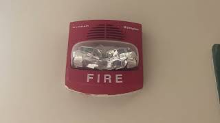 Simplex TrueAlert Horn-Strobe at Community Center by Andrew’s Station 105 views 2 months ago 18 seconds