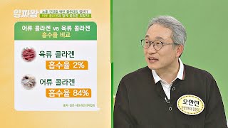 어류 콜라겐 VS 육류 콜라겐 흡수율 전격 비교! TV정보쇼 알짜왕(alzzaking) 149회