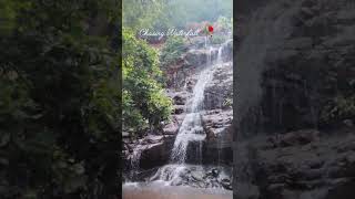 Chasing Waterfall #nature #ytshorts #viral #trending #love #travel #waterfall