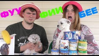 Вкусная еда против дресни | кот и пёс пробуют детское питание Вкусная еда против дресни | кот и пёс пробуют детское питание