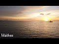 Maldives | Vlog | LUX*South Ari Atoll | Traveling 2019