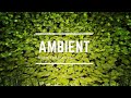 Deep Focus Ambient Study 24/7, Deep Focus Ambient Study Music Best For You