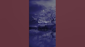 ﴿في جَنَّةٍ عالِيَةٍ ۝ لا تَسمَعُ فيها لاغِيَةً ۝ تلاوة جميلة بترتيل مميز | عبدالباسط عبدالصمد