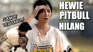 HEWIE PITBULL HILANG ! MOMMY PANIK DAN MARAH #hewiepitbull