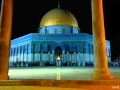 عالمايا 