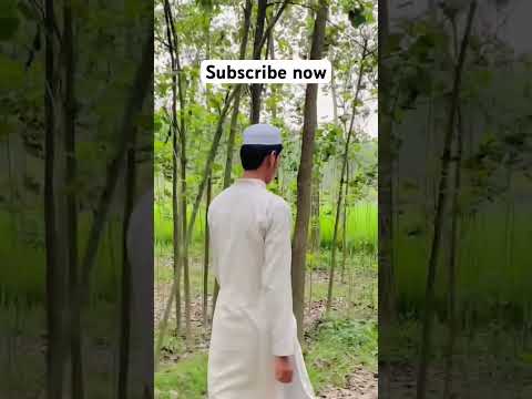 #subscribe #trending #shorts #islamic #viralshort #views #allah #viral #reelsindia