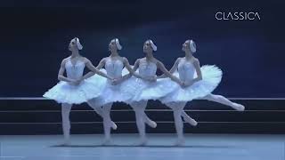 بحيرة البجع : رقصة البجعات الأربع - موسيقى تشايكوفسكي