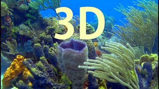 In 3D, An Underwater Coral Paradise - An Underwater 3D Channel Film