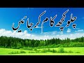 Chalo kuch kam ker jayen nazm  bazm e shauque