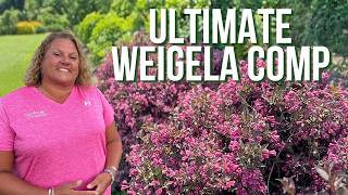 The 16 BEST Proven Winners® ColorChoice® Weigela Varieties For 2026 Gardens