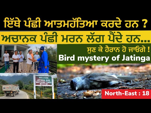 ਇੱਥੇ ਪੰਛੀ ਆਤਮਹੱਤਿਆ ਕਰਦੇ ਹਨ ? ਅਚਾਨਕ ਪੰਛੀ ਮਰਨ ਲੱਗ ਪੈਂਦੇ ਹਨ । Bird Mystery of Jatinga | North East 18